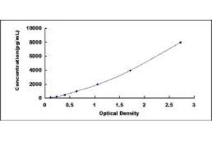 Typical standard curve (Monoamine Oxidase A ELISA Kit)