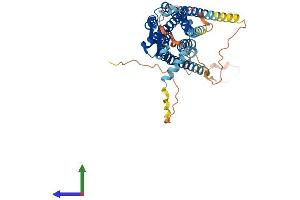 Protein Structure (PS) image for Cholecystokinin B Receptor (CCKBR) (AA 1-447) protein (His tag) (ABIN7553974)
