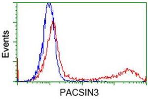 Image no. 3 for anti-Protein Kinase C and Casein Kinase Substrate in Neurons 3 (PACSIN3) antibody (ABIN1500012) (PACSIN3 antibody)