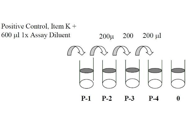 ERK1/2 ELISA Kit