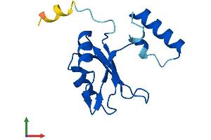 Protein Structure (PS) image for Pre-mRNA Branch Site Protein p14 (SF3B14) (AA 1-125) protein (His tag) (ABIN7556552)
