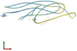 Protein Structure (PS) image for Early Endosome Antigen 1 (EEA1) (AA 1-1411) protein (His tag) (ABIN7553796)