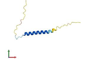 Protein Structure (PS) image for XYD Domain Containing Ion Transport Regulator 2 (FXYD2) (AA 1-70) protein (Fc Tag) (ABIN7556881)