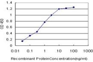 Detection limit for recombinant GST tagged BLK is approximately 0. (BLK antibody  (AA 1-90))