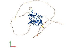 AlphaFold protein structure predicition of Mouse Recombinant Macrod2 Protein, UniprotID Q3UYG8 (MACROD2 Protein (AA 1-475) (His tag))