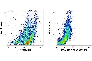 Notch1 antibody  (PE)