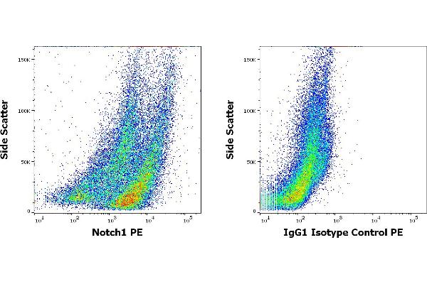 Notch1 antibody  (PE)