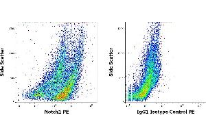 Flow cytometry intracellular staining patterns of PHA stimulated human peripheral whole blood stained using anti-Notch1 (mN1A) PE antibody (concentration in sample 3 μg/mL, left) or mouse IgG1 isotype control (MOPC-21) PE antibody (concentration in sample 3 μg/mL, same as Notch1 PE concentration, right).