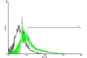 FACS analysis of negative control 293 cells (Black) and TPTE expressing 293 cells (Green) using TPTE purified MaxPab mouse polyclonal antibody. (TPTE antibody  (AA 1-533))