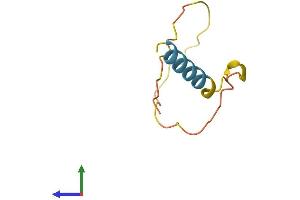 AlphaFold protein structure predicition of Human Recombinant LINC00474 Protein, UniprotID Q9P2X8 (LINC00474 Protein (AA 1-69) (Fc Tag))