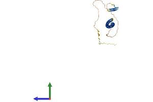 AlphaFold protein structure predicition of Mouse Recombinant Nde1 Protein, UniprotID Q9CZA6