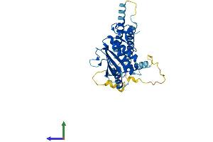 AlphaFold protein structure predicition of Human Recombinant MED27 Protein, UniprotID Q6P2C8