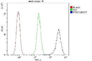 Flow Cytometry analysis of THP-1 cells using anti-PTBP2 antibody (ABIN7599452). (PTBP2 antibody  (AA 1-504))