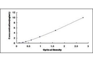 Typical standard curve (FBLIM1 ELISA Kit)