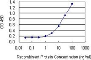 ELISA image for anti-Hemopexin (HPX) (AA 1-254) antibody (ABIN561362)