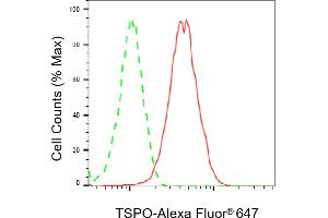Flow cytometric analysis of TSPO expression in HT- cells using TSPO antibody (ABIN7799775), 1:2,000). (Recombinant TSPO antibody)