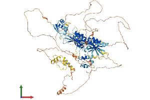 AlphaFold protein structure predicition of Mouse Recombinant Bicc1 Protein, UniprotID Q99MQ1