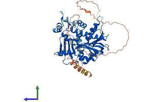 AlphaFold protein structure predicition of Human Recombinant RNMT Protein, UniprotID O43148 (RNMT Protein (AA 1-476) (His tag))