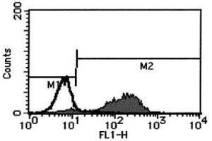Flow Cytometry (FACS) image for anti-Fas Ligand (TNF Superfamily, Member 6) (FASL) antibody (FITC) (ABIN1105948) (FASL antibody  (FITC))