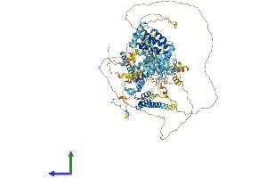 AlphaFold protein structure predicition of Mouse Recombinant Bub1b Protein, UniprotID Q9Z1S0