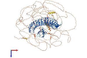Leucine Rich Repeat Containing 7 (LRRC7) (AA 1-1537) protein (His tag)