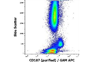 Flow cytometry surface staining pattern of human peripheral whole blood stained using anti-human CD187 (10D1-J16) purified antibody (concentration in sample 1,7 μg/mL, GAM APC). (CXCR7 antibody)