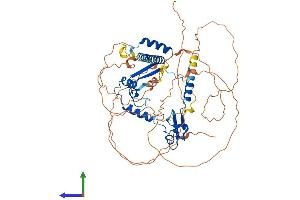 Protein Structure (PS) image for Cysteine-serine-Rich Nuclear Protein 1 (CSRNP1) (AA 1-583) protein (His tag) (ABIN7556537)