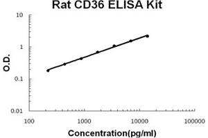 Rat CD36/SR-B3 PicoKine ELISA Kit standard curve