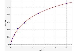 Typical standard curve (TPP1 ELISA Kit)