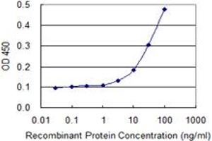 Detection limit for recombinant GST tagged NID1 is 1 ng/ml as a capture antibody. (Nidogen 1 antibody  (AA 1148-1247))