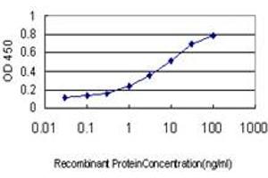 Detection limit for recombinant GST tagged TUBG2 is approximately 0. (TUBG2 antibody  (AA 1-100))
