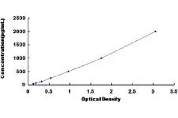 LRP8 ELISA Kit