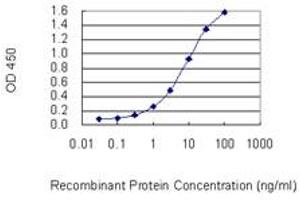 Detection limit for recombinant GST tagged FAM65B is 0. (FAM65B antibody  (AA 1-591))