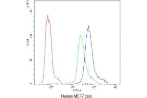 Flow cytometry testing of human MCF7 cells with PKC eta antibody at 1ug/10^6 cells (blocked with goat sera) (PKC eta antibody  (AA 30-389))
