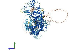 AlphaFold protein structure predicition of Human Recombinant DGKB Protein, UniprotID Q9Y6T7