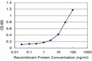 Detection limit for recombinant GST tagged PEX19 is approximately 1ng/ml as a capture antibody. (PEX19 antibody  (AA 1-299))