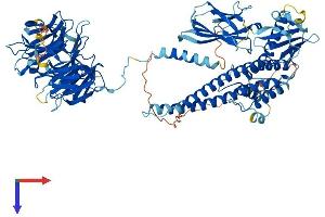 BBS9 Protein (AA 1-887) (His tag)