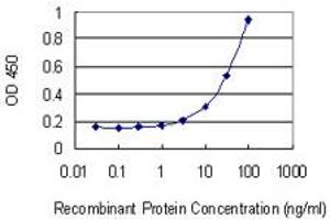 Detection limit for recombinant GST tagged TRIM21 is 1 ng/ml as a capture antibody. (TRIM21 antibody  (AA 1-475))