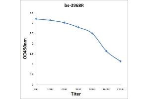 Antigen: 0. (PRKAG3 antibody  (AA 151-250))