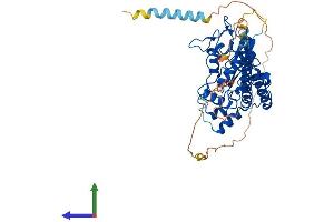 AlphaFold protein structure predicition of Mouse Recombinant Hs6st3 Protein, UniprotID Q9QYK4