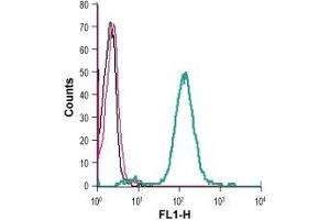 Cell surface detection of GPR68 in live intact human THP-1 monocytic leukemia cells: (black line) Cells. (GPR68 antibody  (2nd Extracellular Loop))