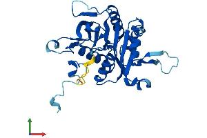 AlphaFold protein structure predicition of Human Recombinant PSMG2 Protein, UniprotID Q969U7
