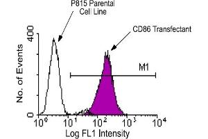 Flow Cytometry (FACS) image for anti-CD86 (CD86) antibody (FITC) (ABIN371013)