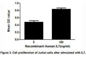 IL7 (Interleukin 7) is a hematopoietic growth factor secreted by stromal cells in the bone marrow and thymus. (IL-7 Protein (AA 26-177) (His tag))