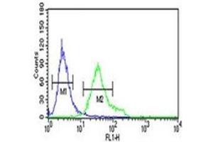 DGCR8 antibody flow cytometric analysis of NCI-H460 cells (green) compared to a negative control (blue). (DGCR8 antibody  (AA 439-466))