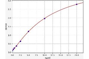 SRSF1 ELISA Kit