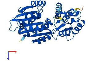 HNMT Protein (AA 1-295) (His tag)