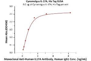 Measured by its binding ability in a functional ELISA. (Interleukin 17a Protein (AA 24-155) (His tag))