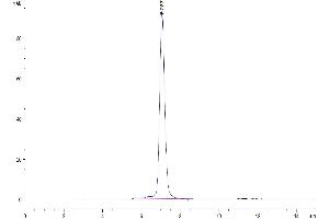 Size-exclusion chromatography-High Pressure Liquid Chromatography (SEC-HPLC) image for Interleukin 20 Receptor alpha (IL20RA) (AA 30-250) protein (Fc Tag) (ABIN7274922)
