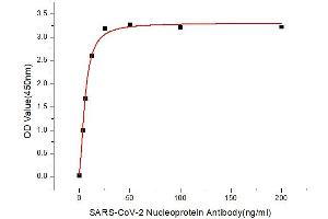 Immobilized Recombinant 2019-nCoV Nucleocapsid Protein (RP01264LQ) at 1 μg/mL (100μL/well) can bind SARS-CoV-2 Nucleoprotein Rabbit mAb (ABIN7269048) with a linear range of 3. (Nucleoprotein antibody)